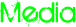 Media Text
